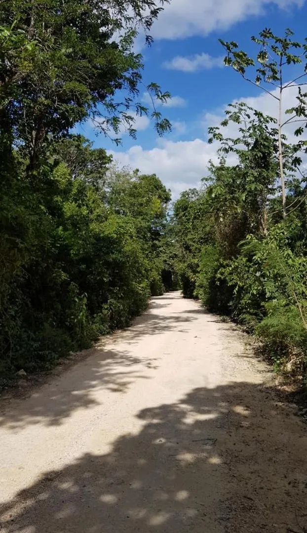 Wayak Jungle Villas Tulum 0*,