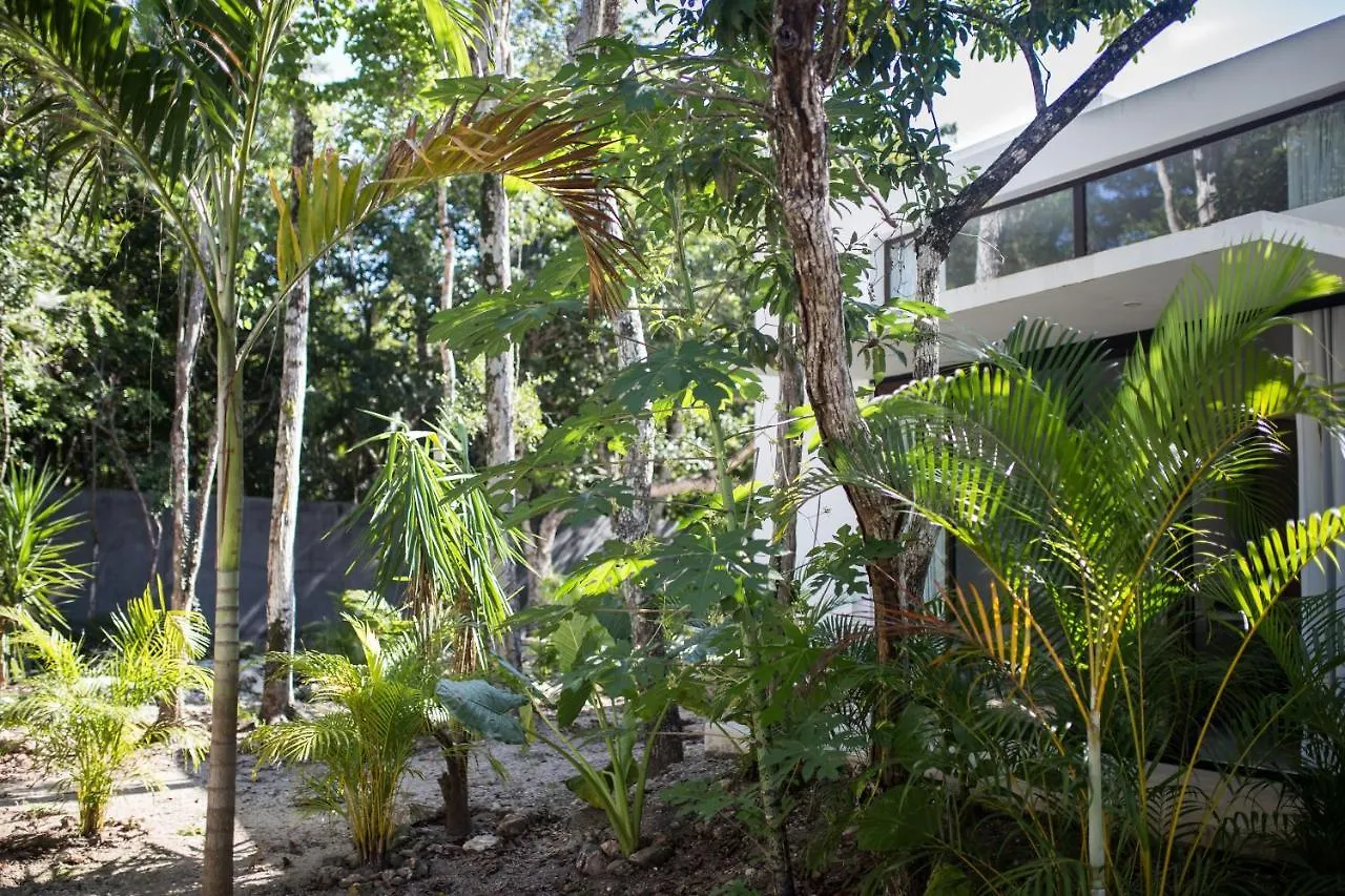 Wayak Jungle Villas Tulum