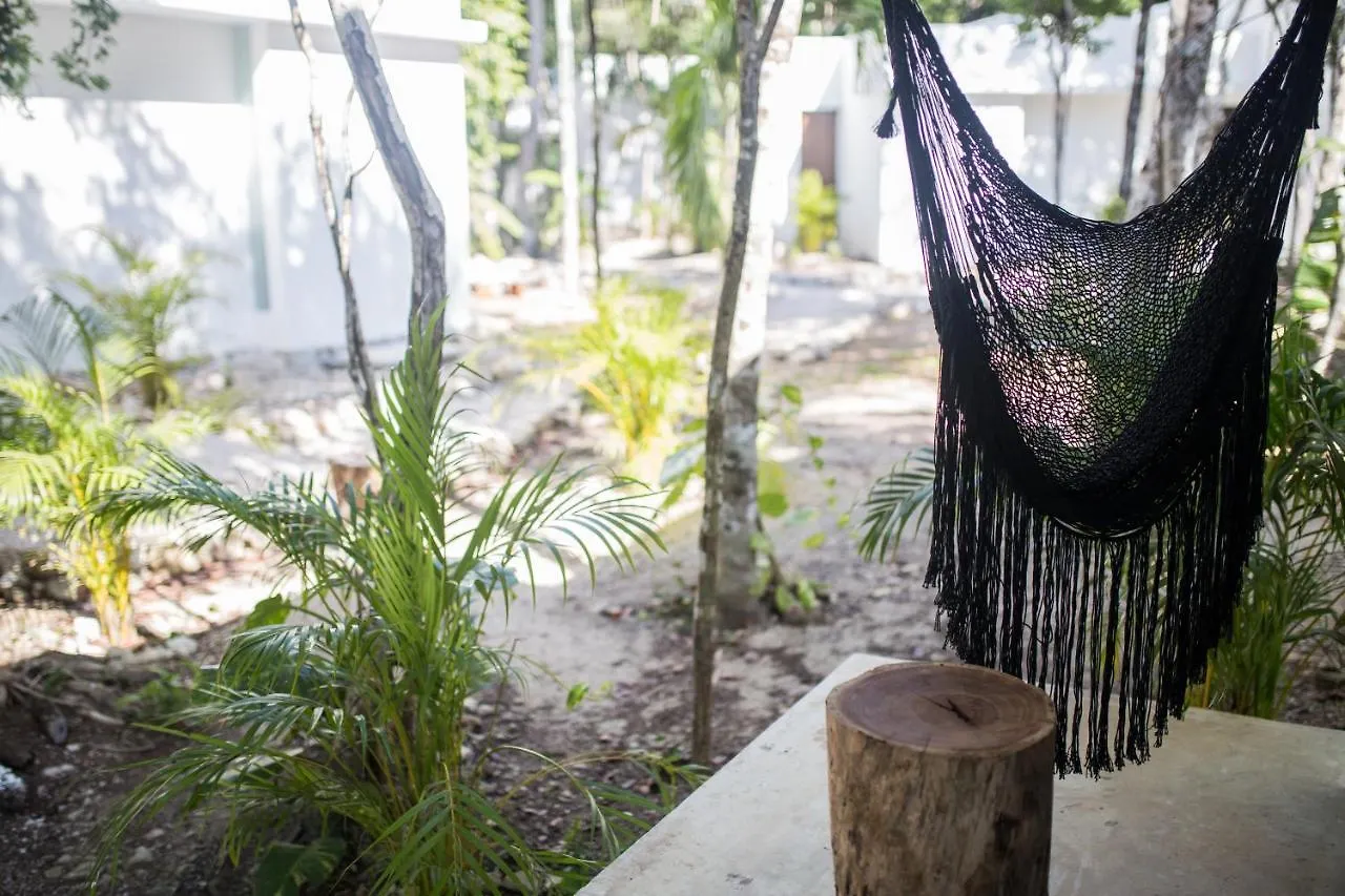 Wayak Jungle Villas Tulum Mexico