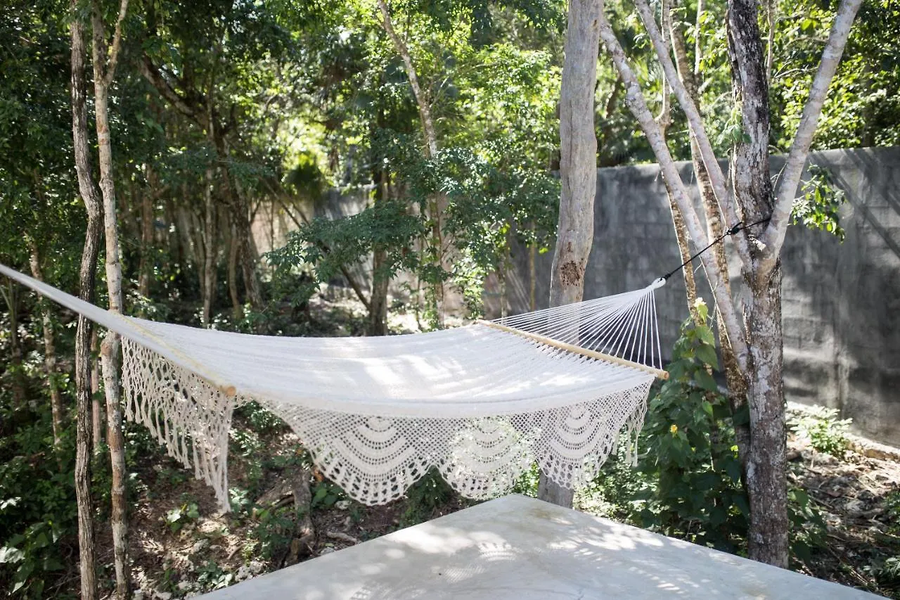 Wayak Jungle Villas Tulum