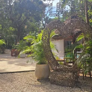  Maison d'hôtes Kin Jungle Deluxe